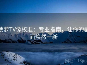 菠萝TV像校准：专业指南，让你的画面焕然一新