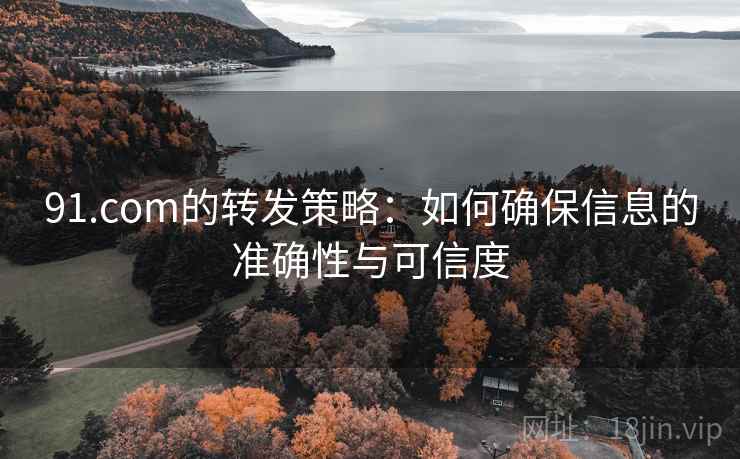 91.com的转发策略：如何确保信息的准确性与可信度