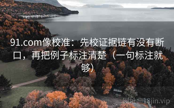 91.com像校准：先校证据链有没有断口，再把例子标注清楚（一句标注就够）